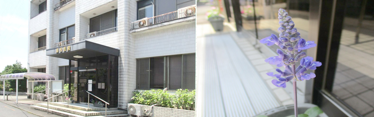 是松医院 トップ